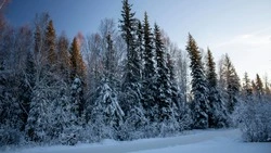 Сильный снег и ветер до 20 м/с ожидаются на Сахалине и Курилах 16 февраля