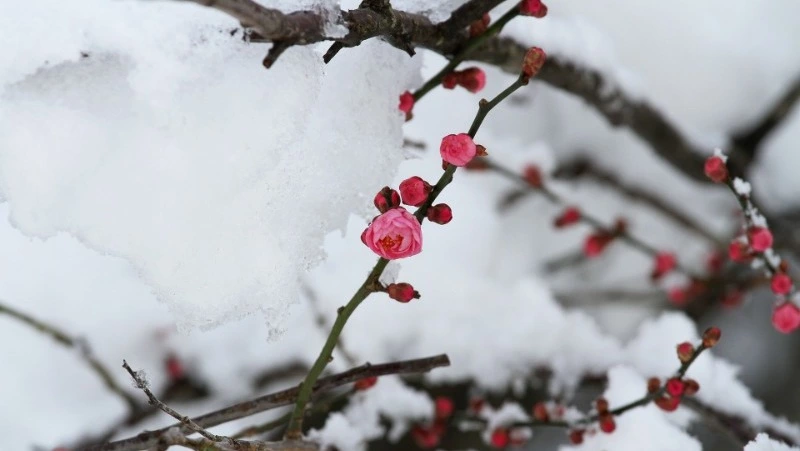 Гадание по картинке на апрель 2024: кого ждет удача