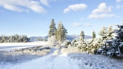 Плюсовые температуры ожидаются на Сахалине и Курилах 14 февраля