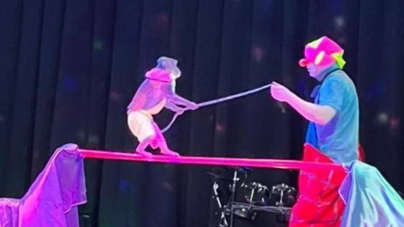 Цирк! Цирк! Цирк!