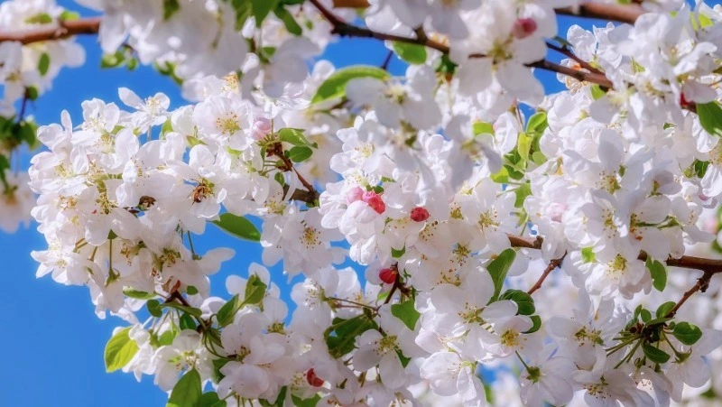 Народные приметы на 19 апреля 2024 года — что нельзя делать в этот день