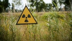 Какой сегодня праздник — 26 апреля 2024 года