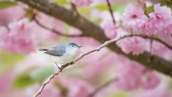 День весеннего равноденствия 2024 года: когда отмечают, приметы