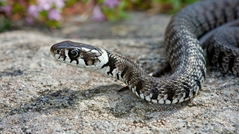 Народные приметы на 12 июня 2024 года: что нельзя делать в этот день