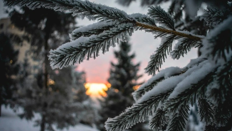 Народные приметы на 12 февраля 2024 года: что нельзя делать в этот день