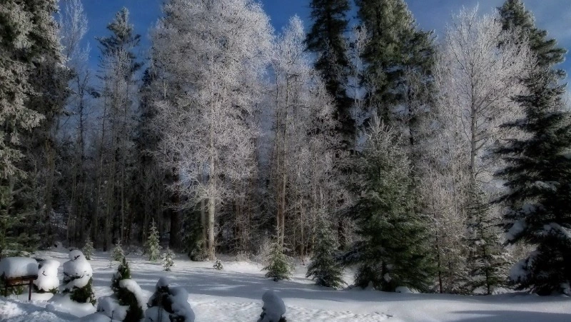 Народные приметы на 7 февраля 2024 года: что нельзя делать в этот день