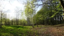 Прогноз погоды на Сахалине и Курилах на 23 апреля