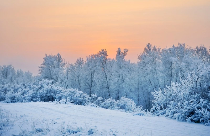 Морозы ударят по Сахалинской области 20 декабря