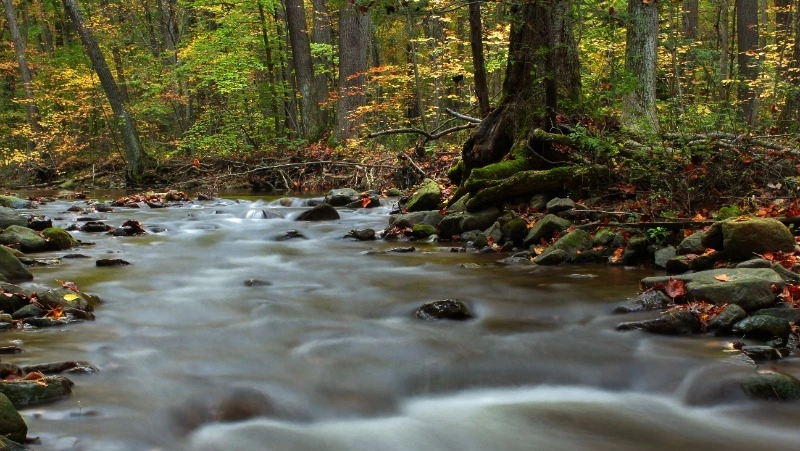 Народные приметы на 22 апреля 2024 года — что нельзя делать в этот день