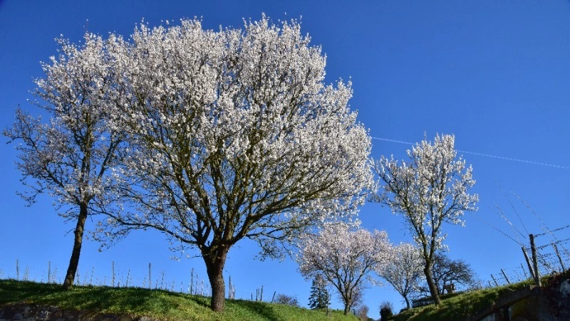 Сильный ветер и туман ожидаются на Сахалине и Курилах 24 апреля