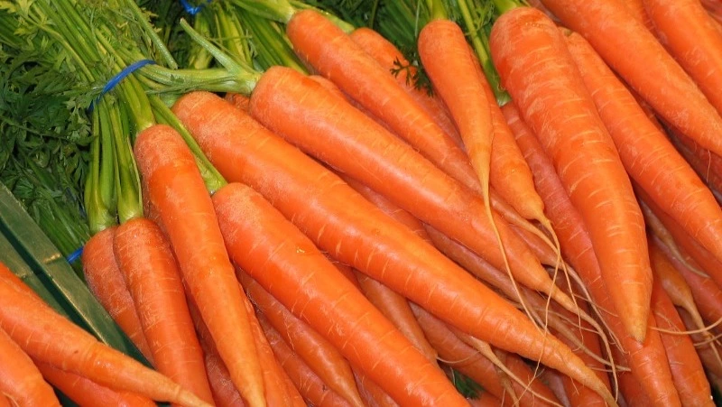 Конфеты из моркови — вкусный рецепт для тех, кто хочет быть в форме