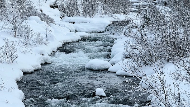 Народные приметы на 26 марта 2024 года: что нельзя делать в этот день