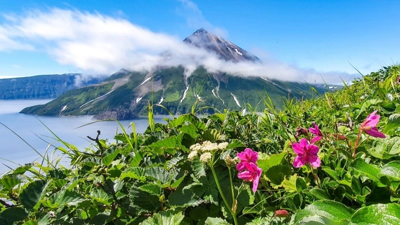 Краеведческая “Ночь музеев”
