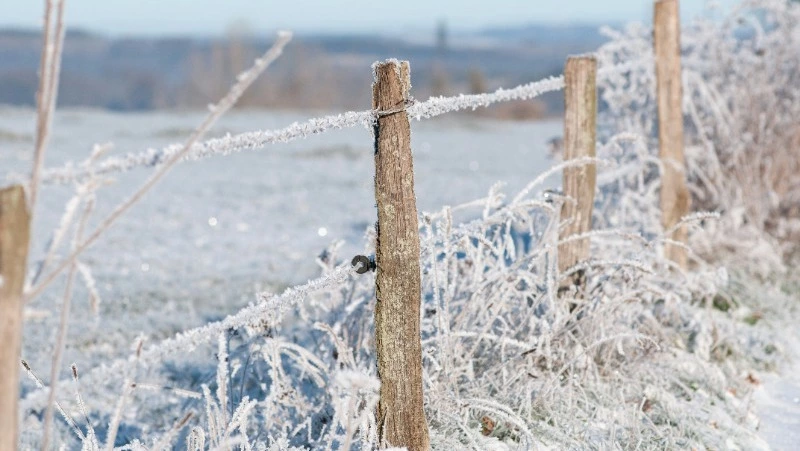 Ветер и небольшой снег ожидаются на Сахалине и Курилах 30 января