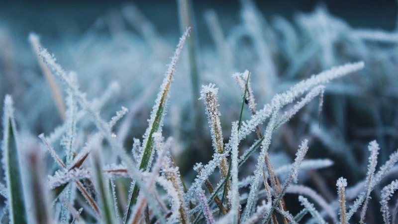 Церковный праздник 15 декабря 2023: что строго нельзя делать в этот день