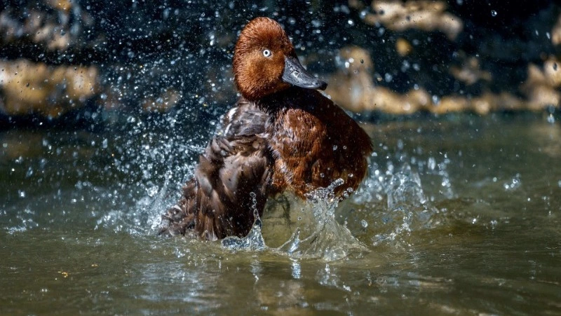 Народные приметы на 20 мая 2024 года — что нельзя делать в этот день