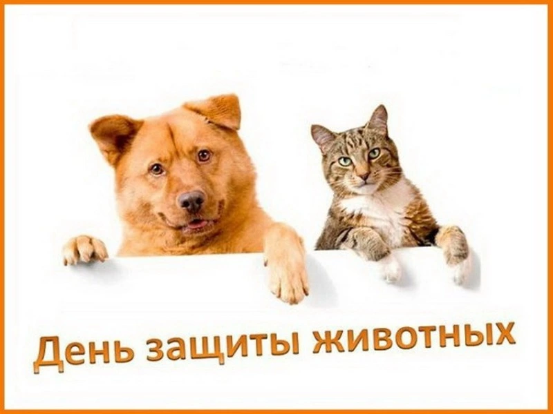 Картинки с Всемирным днем защиты животных 2024