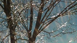 Ураганный ветер и сильный снег ожидаются на Сахалине и Курилах 14 марта 