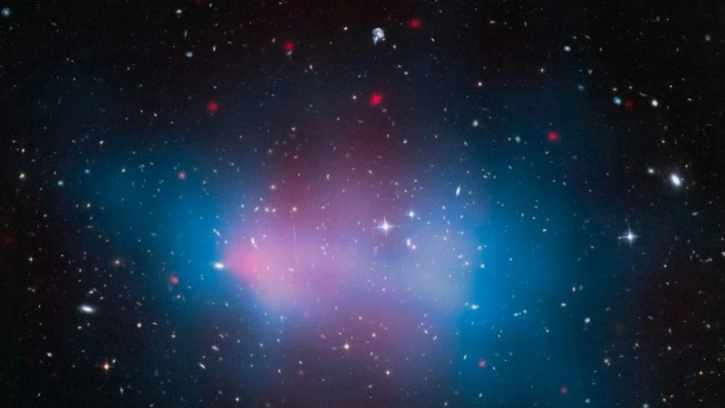 Гороскоп на 16 мая 2024 года для каждого знака зодиака