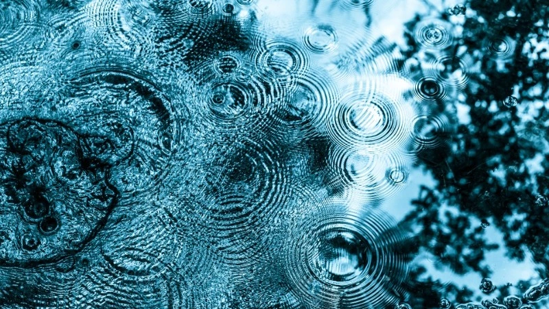 Порывистый ветер и дождь: прогноз погоды в Сахалинской области на 22 августа 