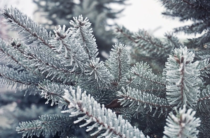 Церковный праздник 19 декабря 2023: что нельзя делать в этот день