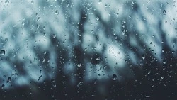 Кратковременный дождь и туман ожидаются на Сахалине и Курилах 12 июля