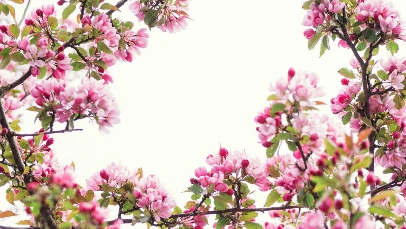 Погода на Сахалине и Курилах с 6 по 12 апреля: циклон и потепление до +10 градусов