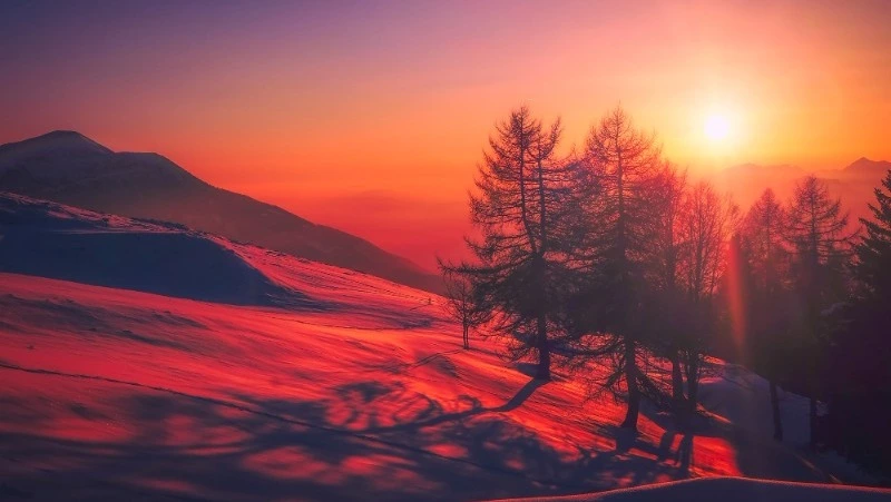 Народные приметы на 26 декабря 2023 года: что нельзя делать в этот день