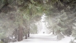 Народные приметы на 13 декабря 2023 года: что нельзя делать в этот день