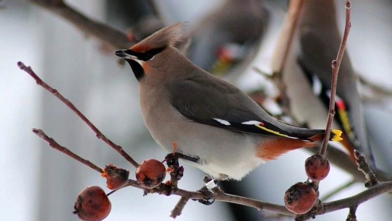Гадание по картинке на март 2024 года: что изменится в вашей жизни?