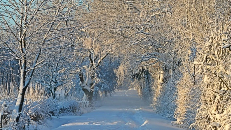 Народные приметы на 22 декабря 2023 года: что нельзя делать в этот день