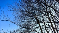 Ветер и дождь пообещали синоптики на Сахалине и Курилах 27 апреля