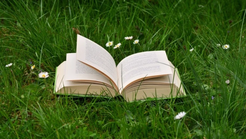 У вас «титановые» знания, если осилите 10/10 вопросов — ТЕСТ 