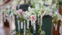 Народные приметы на 8 марта 2024 года: что нельзя делать в этот день