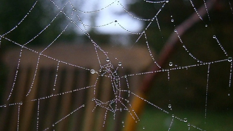 Порывистый ветер и дождь ожидаются на Сахалине и Курилах 26 апреля