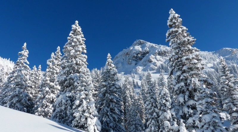 Церковный праздник 20 декабря 2023 года: что нельзя делать в этот день