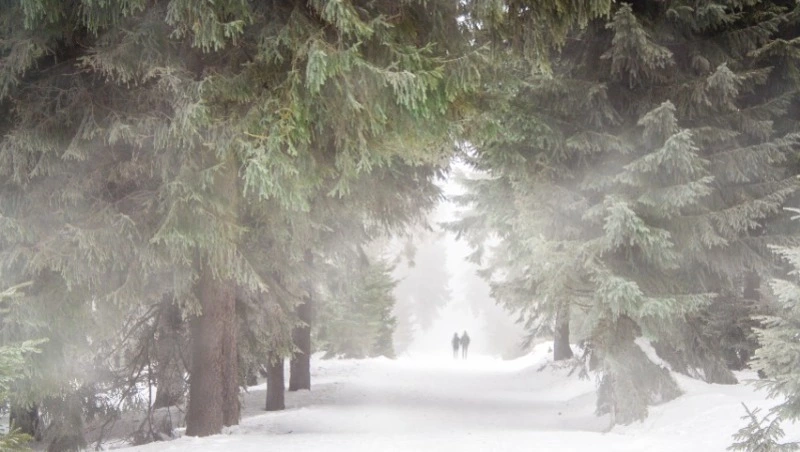 Народные приметы на 13 декабря 2023 года: что нельзя делать в этот день