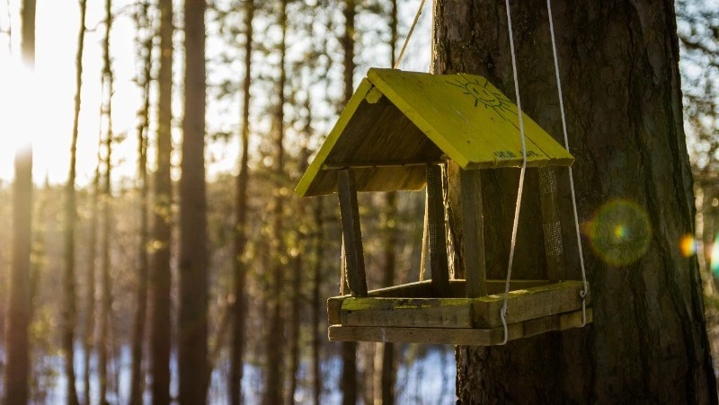 Церковный праздник 7 декабря 2023: что строго нельзя делать в этот день