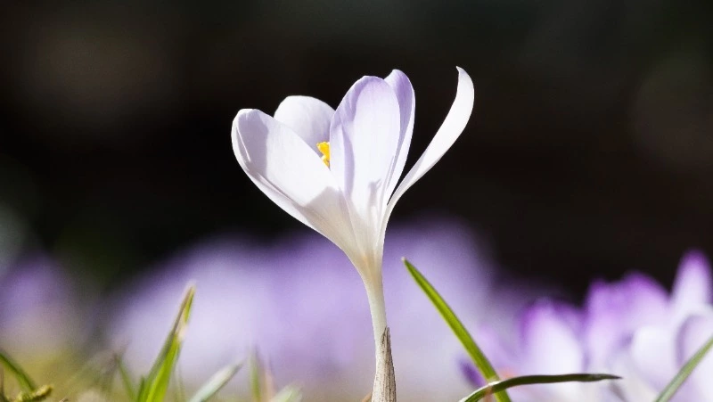 Какой сегодня праздник: что было 5 марта