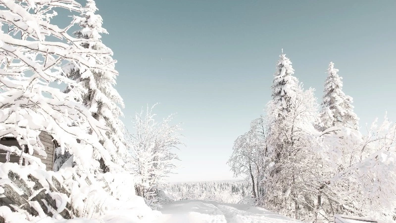 Народные приметы на 3 февраля 2024 года: что нельзя делать в этот день