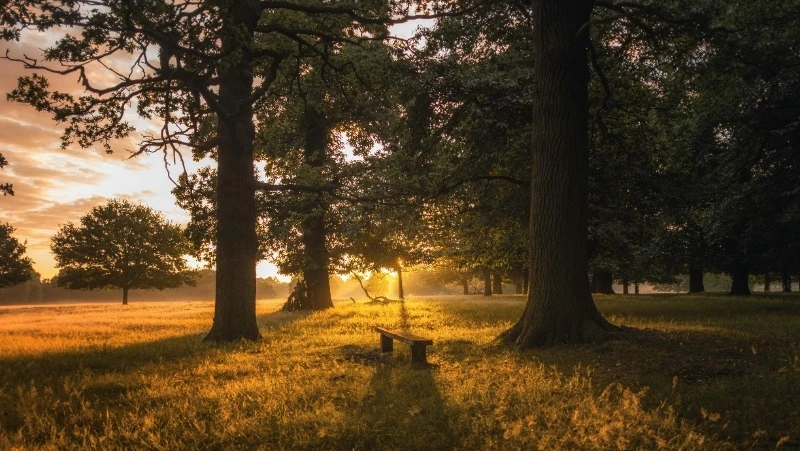 Какой сегодня праздник: что было 21 марта