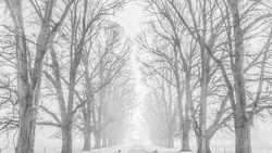 Снег и порывистый ветер ожидаются на Сахалине и Курилах 9 февраля