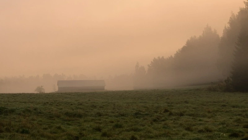 Прогноз погоды в Сахалинской области на 1 августа: осадки и местами туман