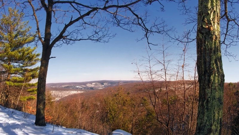 Порывистый ветер 28 м/с и снег ожидаются на Сахалине и Курилах 13 марта