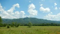 Умеренный дождь и +22 градуса ожидается на Сахалине и Курилах 3 июля 