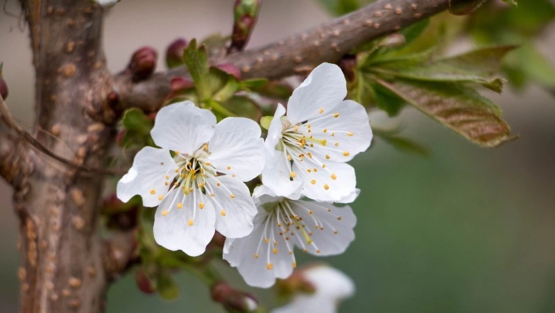 Народные приметы на 18 марта 2024 года: что нельзя делать в этот день