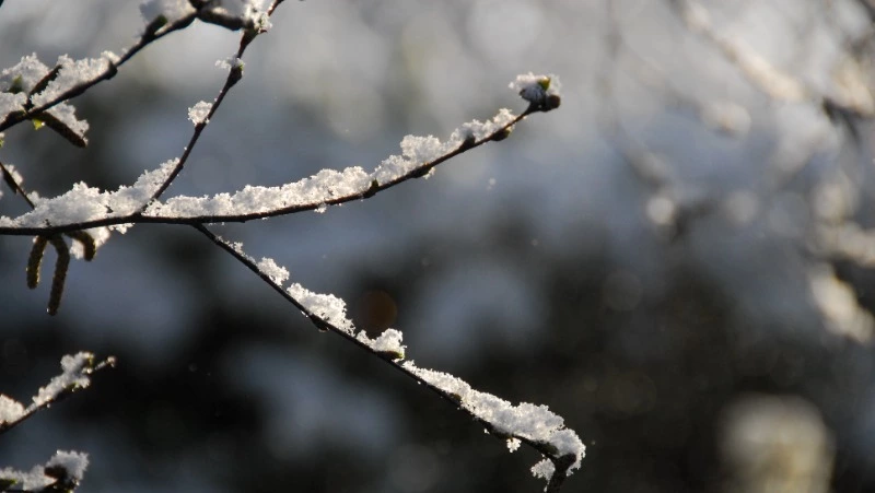 Народный и церковный праздник 4 марта 2024 года: что нельзя делать в этот день