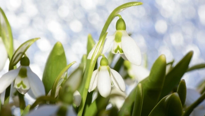 Народные приметы на 21 февраля 2024 года: что нельзя делать в этот день