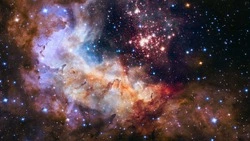 Гороскоп на 10 января 2024 года для каждого знака зодиака