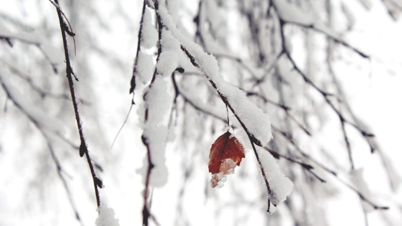 Народные приметы на 26 февраля 2024 года: что нельзя делать в этот день